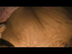 Xem video khiêu dâm của hoy thủ dâm dương vật giả nghiệp dư Châu Á với chất lượng tốt, thuộc thể loại porn xxx viet nam tu quay hd.